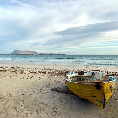 Camping San Teodoro La Cinta Hotel Eksteriør billede